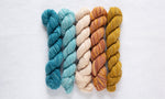 Manos del Uruguay Fino Mini Skein Set