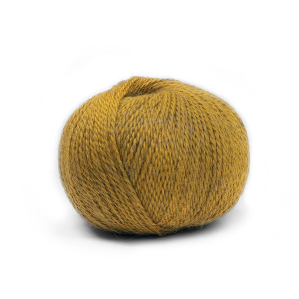 Pascuali Balayage Yarn in the color Loreto 621