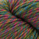 Cascade yarns 220 superwash wave yarn in the color Wildvlower 119