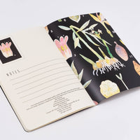 Botany Notebook from BV at Bruno Visconti