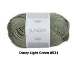 Sandnes Garn Sunday fingering weight 100% merino yarn in the color Dusty Lime Green 8521