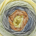 Cherub Aran Prints 150 gram yarn cake in the color gingko 714