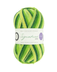 West Yorkshire Spinners Signature 4ply Yarn