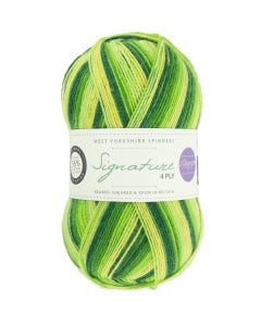 West Yorkshire Spinners Signature 4ply Yarn