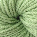 Berroco Vintage Yarn in the color Kiwi 5124