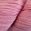 Cascade Heritage fingering/sock yarn in the color 5613 Tutu