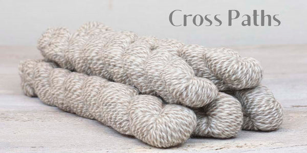 The Fibre Company Amble Yarn Mini Skein in the color Cross Paths