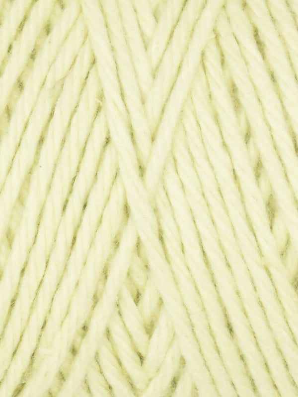 Queensland Coastal Cotton yarn in the color Celadon 1013