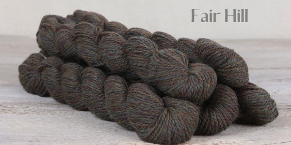 The Fibre Company Amble Yarn Mini Skein in the color Fair Hill