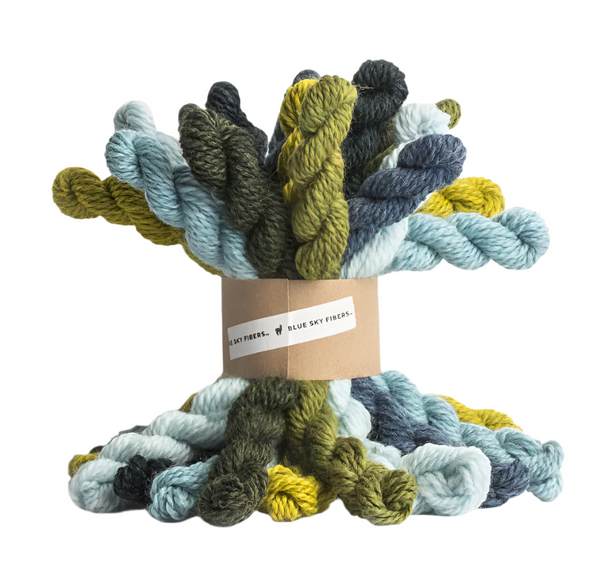 Blue Sky Fibers Woolstok Mini Skein Bundle