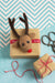 Rudolph Brooch Needle Felting Kit