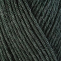 Berroco Ultra Wool Yarn in the color Rosemary 33158